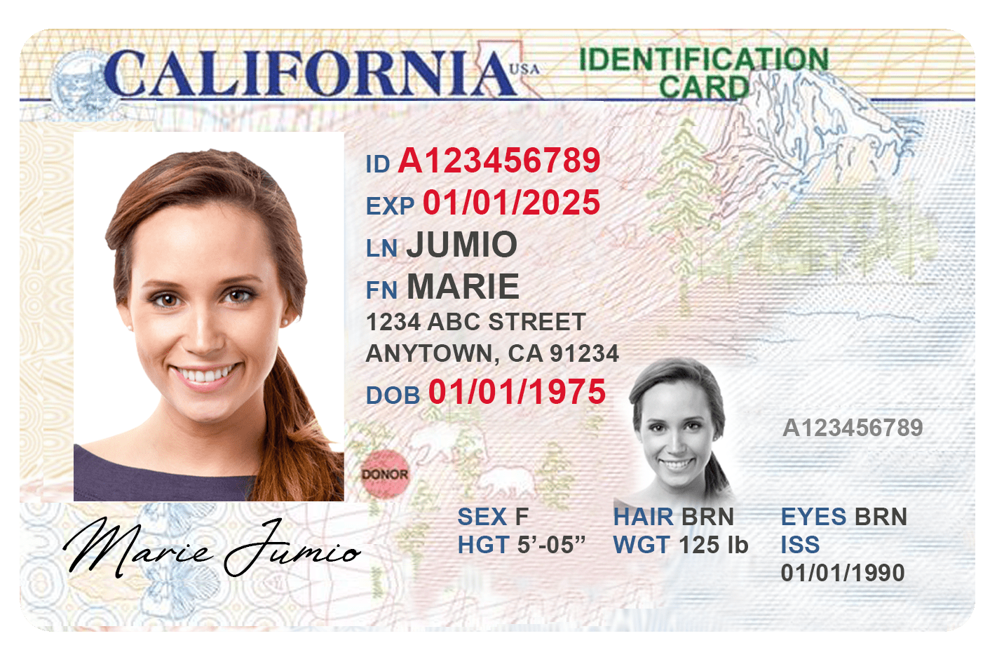 Government Id Card Template